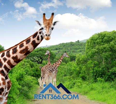 Best Parks and Trails Near Pottsville Rentals