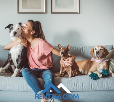 Moving with Pets: What to Plan