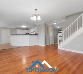 Renter-Friendly Flooring &amp; Wall Ideas